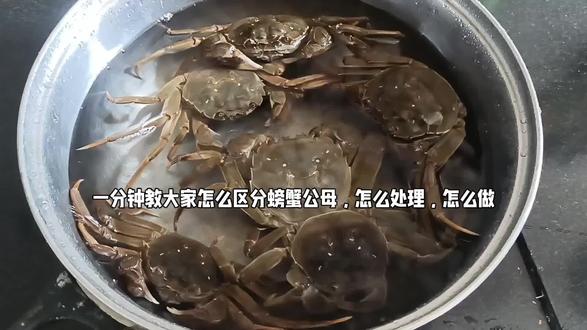 这个视频教你区分螃蟹公母,一根筷子处理螃蟹!