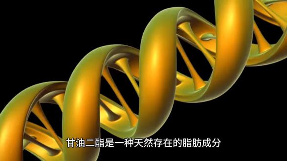 人体摄入甘油二酯会怎样?