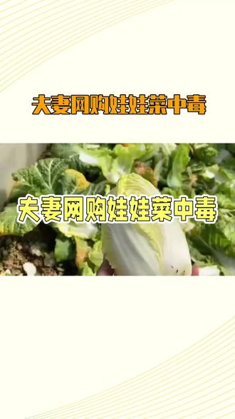 舌尖上的安全:网购娃娃菜夫妻中毒 杨女士花费17.48元网购8斤娃娃菜,食用次日便出现流鼻血、口腔血泡等症状,随后发展为全身出血、呼吸衰竭,医院确诊为重度溴鼠灵中毒——这种列入《危险化学品目录》的剧毒鼠药,潜伏期长且常规清洗烹饪无法去除。#舌尖上的安全