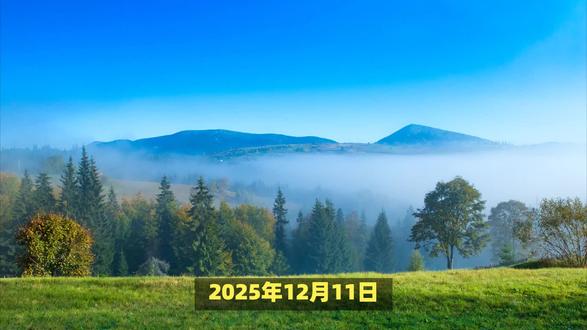 降息反而引发下跌?解读美联储最新操作 1211 #巴芒说投资 #巴芒说财经 #财经