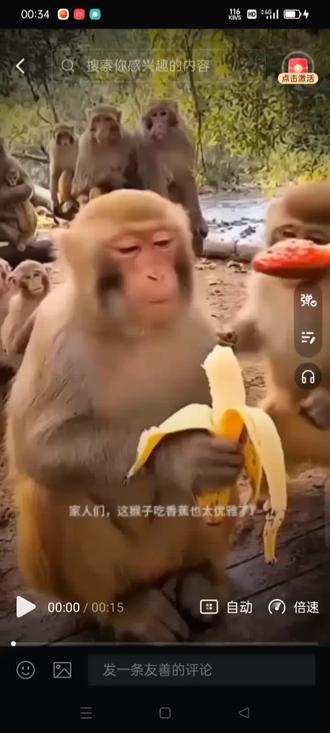 猴子吃完感觉自己想提高人 不拿糯米糕和大米和玉佩的是神人