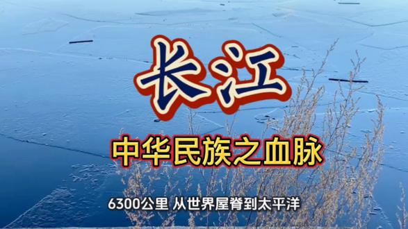 长江:中华民族的血脉 长江,古称"江"或"大江",是中华文明的摇篮,被誉为中华民族的母亲河。长江发源于青藏高原唐古拉山脉各拉丹冬峰,自西向东流经青海、西藏、四川、云南、重庆、湖北、湖南、江西、安徽、江苏、上海11个省级行政区,最终在崇明岛以东注入东海。
长江全长6363千米,是中国第一长河,世界第三长河,仅次于非洲的尼罗河和南美洲的亚马逊河。长江流域面积达180万平方千米,约占中国陆地总面积的五分之一。年径流量约9600亿立方米,占全国河流总径流量的三分之一以上,是中国水量最丰富的河流。
长江上游河段长4504千米,多峡谷险滩,水能资源丰富,占全江水能蕴藏量的80%以上;中游河段长955千米,地势较为平坦,湖泊众多,著名的洞庭湖、鄱阳湖均在此段;下游河段长938千米,地势低平,河网密布,形成了富饶的长江三角洲平原。
长江流域是中国经济最发达的地区之一,养育着全国近三分之一的人口,创造了全国约三分之一的GDP。长江航道是中国最重要的内河航运通道,货运量占全国内河货运量的60%以上,被誉为"黄金水道"。同时,长江还拥有丰富的水能资源,三峡工程、葛洲坝等大型水电站为国家的能源供应做出了重要贡献。
长江流域历史文化底蕴深厚,孕育了灿烂的长江文明,从上游的巴蜀文化到下游的吴越文化,形成了丰富多彩的地域文化体系,是中华文明的重要组成部分。#真实的中国 #风光摄影 #知识科普 #长江生态保护 #中华民族的精神