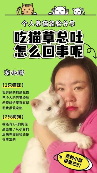 吃猫草总吐怎么回事呢? #养猫经验分享