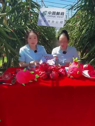 石首南口火龙果,好吃到爆~~~ #荆州邮政 #助农水果