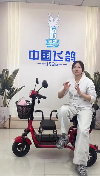 一款小巧轻便的亲子代步车~ #飞鸽三轮车#折叠电动车三轮车#亲子代步车