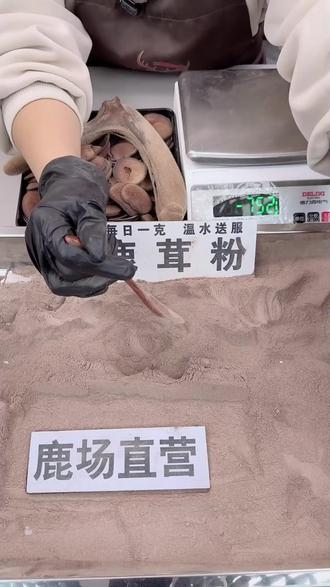 不同年龄鹿茸粉怎么吃直播间告诉你 #鹿茸 #鹿茸粉 #养生滋补