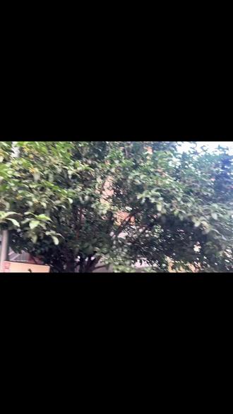 纳雍街坊注意!后巷私厨小院大放价,原价五百多的12人宴席砍到368!十道硬菜配饭管饱,云贵风味超赞,人均不到三十,过期退可撤单! (注意,叠加立减后的价格是368元,团购价是388元;)#粤菜 #江村渔火饭文子 #南山人家 #普宁美食 #宜兴美食