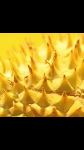 迈优乐放大招!原价32元的黄金脆香鸡,现15.8元拿下。金黄酥脆、肉汁足,堂食香、外带量足。环境似西餐厅,吃炸鸡有仪式感。15.8元买快乐,冲! (注意,叠加立减后的价格是15.8元,团购价是16.8元; | 【退款规则】到店核销:随时可退,过期未核销自动退)#好吃到停不下来 #美食 #现烤现卖 #披萨 #好吃的