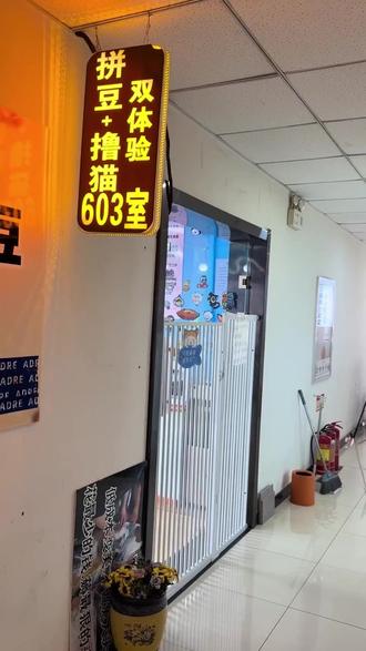 15 块 6 毛 6,榆次拼豆撸猫双重快乐套餐来袭!左手捏豆,右手撸猫,豆子圆似乒乓球,猫咪萌自带滤镜。拼完还能摸猫,晋中手工坊热卖,羊毛不薅就亏! #幼儿园美术粘贴画 #水冰月变身 #儿童美术作品收纳册 #房间搭配 #扭蛋机