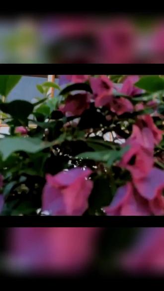 长堤街渡风亭双人餐148元吃到撑!金蒜酸菜鱼、蒜蓉菜心等佳肴,原价229现骨折价,堂食打包均可,年夜饭约起! (注意,叠加新人价后的价格是148元,团购价是158元; | 【退款规则】到店核销:随时可退,过期未核销自动退)#美食卡点 #抖音新春吃喝玩乐节 #日式拉面 #网红美食打卡 #鸭血粉丝汤