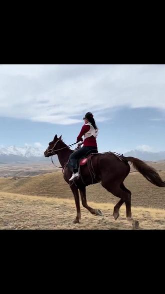 乌鲁木齐的朋友注意!纵马南山野骑俱乐部沙沟骑马一小时仅80元,原价100元。真马实骑,感受风的呼啸,花小钱办大事,约伙伴南山当牛仔! #温血马 #草原骑马技巧 #马背旅行 #旅行的意义 #草原骑马