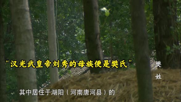 樊重善营成豪族,舍债行善德名扬,女儿便是刘秀生母 #因为一个片段看了整部剧#好剧推荐#老剧回看#中华姓氏传奇 #纪录片