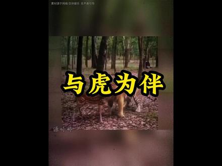 导演,你是怎么说服它俩配合拍戏的 #万万没想到 #动物世界