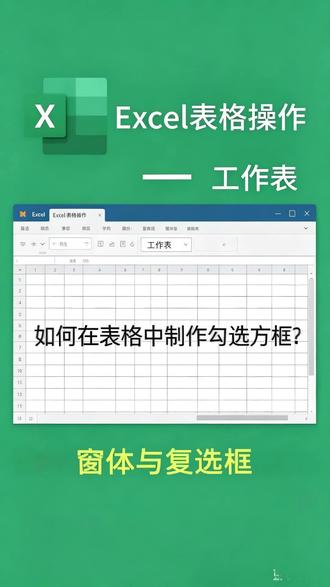 EXCEL如何制作能打勾的方框(复选框) #干货分享 #excel #牛马 #wps #办公技巧