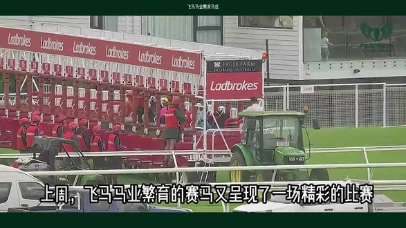 🐎马年开门红!🔥飞马繁育赛马强势夺冠! 恭喜飞马马业繁育的赛马 “The Pool Boy” 旗开得胜!
在2026年情人节当天的征战中,它以势不可挡的姿态率先冲线,为它的买家赢得了马年开年大红大紫的头彩!🧧
📊
数据说话,实力不容小觑:
自2025年出赛以来,“The Pool Boy”一共参赛7次,就斩获了3场冠军! 超高的胜率,再次印证了飞马马业出品:基因优良、后劲十足! ⚡️
🌏 扎根新西兰,征战全世界:
作为深耕新西兰的专业马业集团,我们的赛马足迹遍布新西兰、澳大利亚、日本、香港等喜爱赛马的国家和地区。 无论是在顶级的拍卖行,还是激烈的赛马场,飞马马业繁育的赛马屡获佳绩,用实力说话!
✨ 2026马年,看马、爱马、更要关注飞马!
我们将带你深入马的世界,感受速度与激情的碰撞,见证生命力的极致爆发!
🔥 2026年,关注飞马马业,带你一起在新西兰云养马!#马 #赛马 #养马 #马年 #赛马比赛