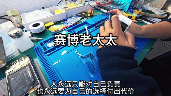 《学徒日记》—赛博老太太