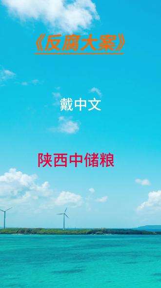 陕西中储粮戴中文 #陕西 #中储粮 #戴中文 #热点 #反腐倡廉