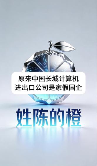 原来中国长城计算机 进出口公司是假假国企 原来中国长城计算机进出口公司是假假国企