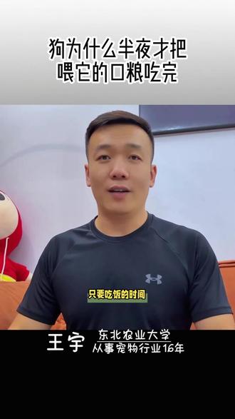 你家狗也有这样得习惯吗?半夜才把喂它的狗粮吃完。 #狗 #新手养狗 #狗子的迷惑行为 @DOU+小助手