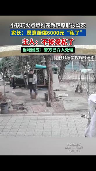 熊孩子放火烧狗 只要赔钱就能了事? 两名熊孩子在小区玩烟花,直接把点燃的烟花扔进狗笼,引燃挡布后,活活烧死了主人养了7年的萨摩耶!家长倒好,想拿6000块钱私了,真以为赔钱就能抹平一切?#烧狗 #熊孩子 #监护 #抖来说法 #精神损害赔偿 @𝙕𝙖𝙡𝙡.𝙃 @多么好 @宏尘炼心 @小姜-stu
