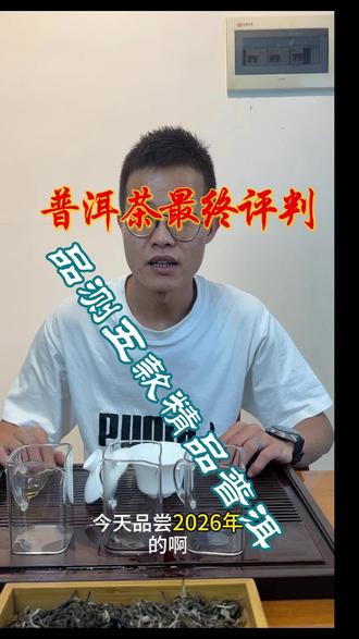 普洱茶最终评价 五款已测评完毕 五款茶都很不错 特别是2025款的#普洱茶原产地 #普洱茶源头厂家
