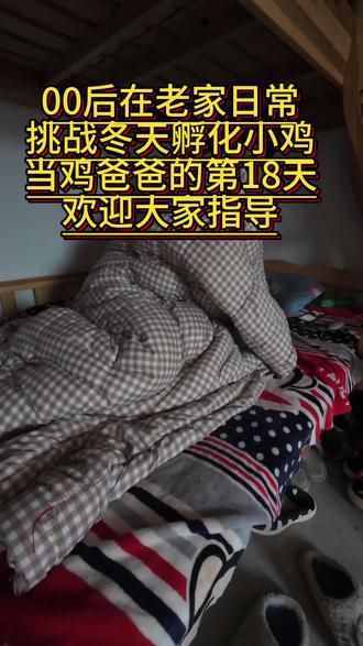 当鸡爸爸的第18天 天气不热感觉孵化的小鸡怎么没有动静呢?不是说18天就开始叫了吗?#记录农村养鸡人的日常生活 #记录我的农村生活 #孵化小鸡