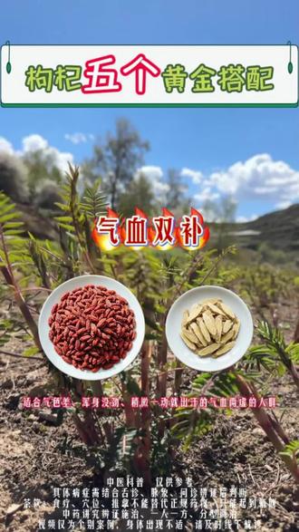 枸杞5个黄金搭配 小小枸杞大能量,每日泡水养生茶,点赞收藏喝起来#枸杞 #大健康养生 #滋补养生 #三农 #上热门抖音小助手