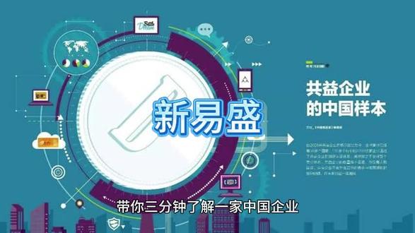 第十七家:新易盛