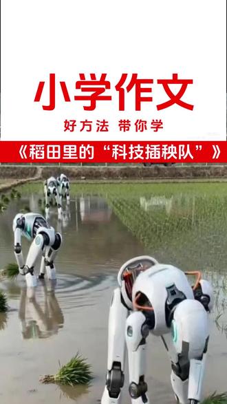 细节生动、立意拔高,孩子一看就会仿写! ✅ 主题:科技与农业、乡村振兴、成长感悟
✅ 亮点:反差开头+细节拉满+结尾升华+共鸣感拉满
✅ 可摘抄、可仿写
#小学生优秀作文 #五年级作文 #科技改变生活 #农业机器人 #作文素材