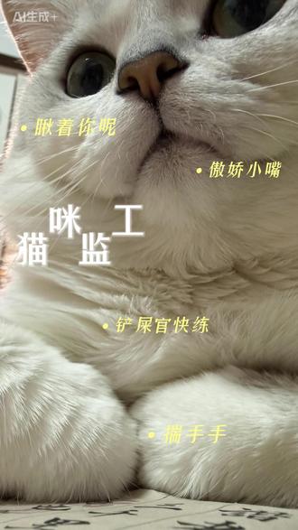 猫咪监工日常 今日在猫咪豆包的陪伴下,临摹丰子恺小品一幅#猫咪日常 #萌宠出道计划 #书法爱好者 #国画 #这也能开播#直播里的她
