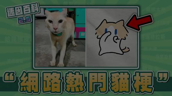 盘点近期热门猫梗!“月薪喵、丑橘、滑行猫”是什么迷因? 【迷因百科】#月薪喵 #丑橘 #滑行猫 #滑る猫 #吉伊卡哇 #特战英豪 #潜水舞 #抽象 #恶搞 #猫梗 #迷因 #meme