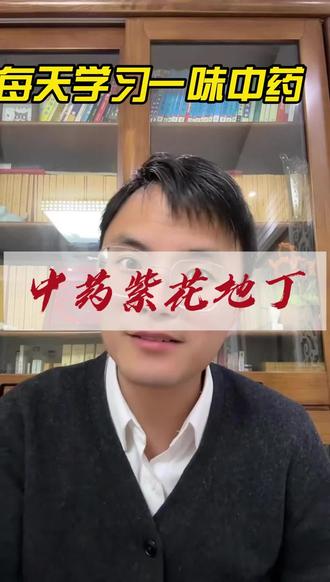 中药紫花地丁 #中药紫花地丁 #疮疡肿毒 #