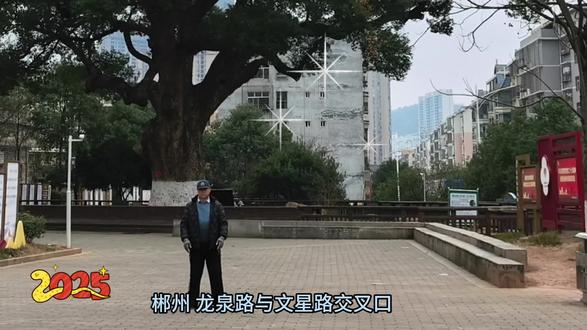 有拳有爱有故事 大树底下好乘凉