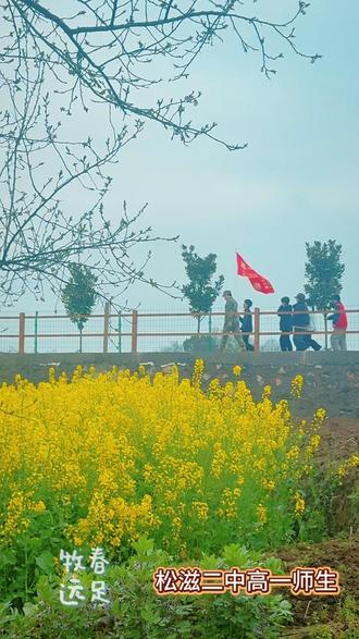 3月18日 (1)(1) #抖音校园live计划 ##松滋二中高一师生牧春远足