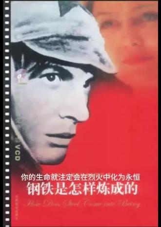 2月28日 《钢铁是怎样炼成的》