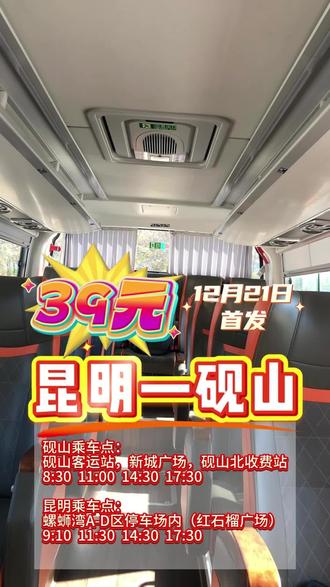 砚山—昆明39 #大巴车 #买票