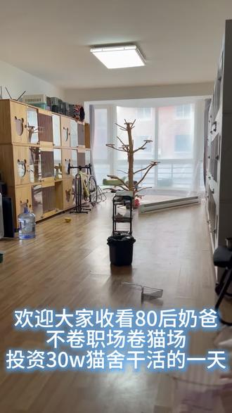 不卷职场卷猫场!欢迎收看80后大叔投资30w猫舍的一天。 #猫咪#养猫日常vlog#撸猫第一视角#原创视频#vlog十亿流量扶持计划
