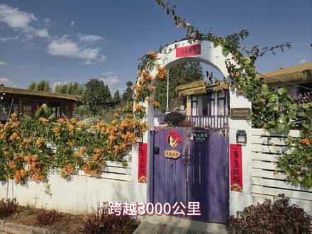 投入20万租的小院,改造期间被退租。有同样经历的人吗? 有同样经历的人吗?
评论区给我指条路。#小院改造 #租房 #回农村 #上热搜 #旅居生活