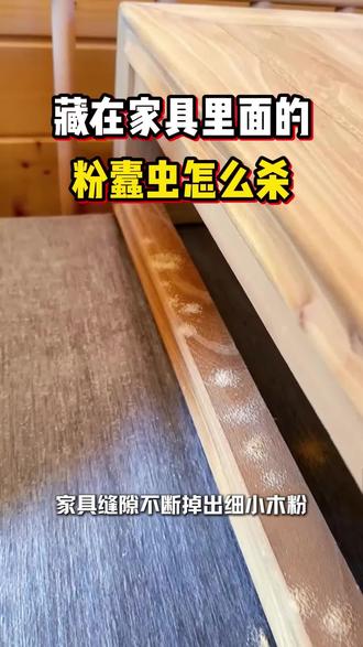 家具里面的粉蠹虫怎么消灭? #粉蠹 #粉蠹虫消杀方法 #粉蠹虫防治 #粉蠹虫的危害 #粉蠹虫杀虫剂
