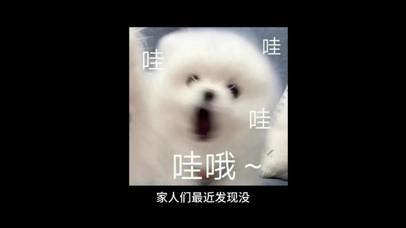 3月2日哈夫币最新比例 #三角洲 #三角洲行动 #哈夫币 #哈夫币回收