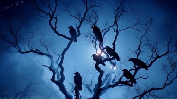 橘猫道长:正气不散,邪祟不近,途径荒郊乱葬岗 #AI电影 #僵尸道长 #猫咪