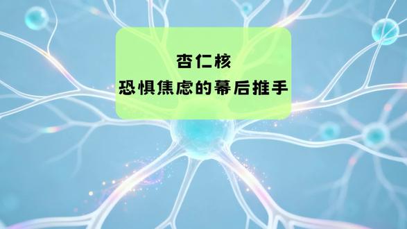 杏仁核:恐惧焦虑的幕后推手 深夜听到脚步声瞬间心跳加速?背后 “指挥官” 是大脑里的杏仁核!这个形似杏仁的小结构,是情绪与身心的核心枢纽。它靠电信号和神经递质快速预警,过度激活会压制理性、损伤记忆力,还会引发高血压、免疫力下降。但不用慌!经颅磁刺激能精准调节它的信号平衡,日常正念冥想、有氧运动,甚至握个温杯子、听低频音乐都能安抚它。想知道怎么靠科学方法稳住情绪、守护身心?这条视频带你读懂杏仁核的秘密!
#杏仁核 #脑科学 #情绪管理 #身心健康 #神经科学