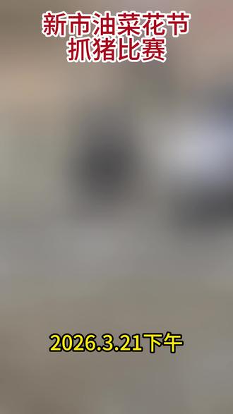 新市油菜花节抓猪比赛 #新市街道第二届油菜花节 #我爱长寿 @长寿湖旅游度假区
