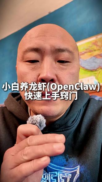 小白养龙虾(OpenClaw)快速上手进阶方法 #OpenClaw
