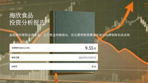 海欣食品投资分析报告