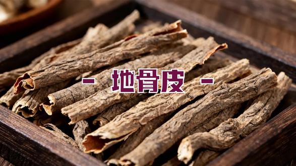 地骨皮:甘寒,凉血除蒸,清肺降火。 #中医 #地骨皮的功效
