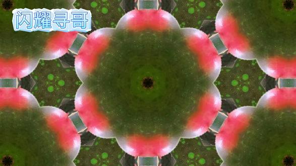 闪耀寻哥 #闪耀寻哥 #游戏入侵 #完结文 #免费 #番茄