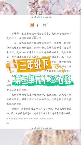 第16集 三年级下册语文丨⑩石蜂 三年级下册语文丨⑩石蜂#三年级下册语文 #课文朗读 #石蜂 #读课文 #课文朗读示范