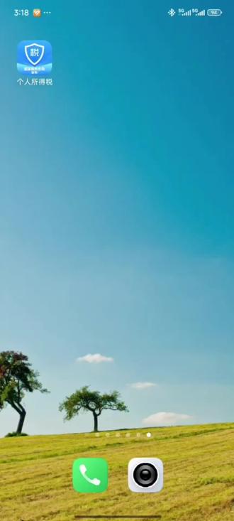 个人所得税专项附加扣除填写示范