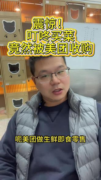 美团收购叮咚属实让我小震惊了一下 #叮咚买菜 #美团 #美团收购叮咚